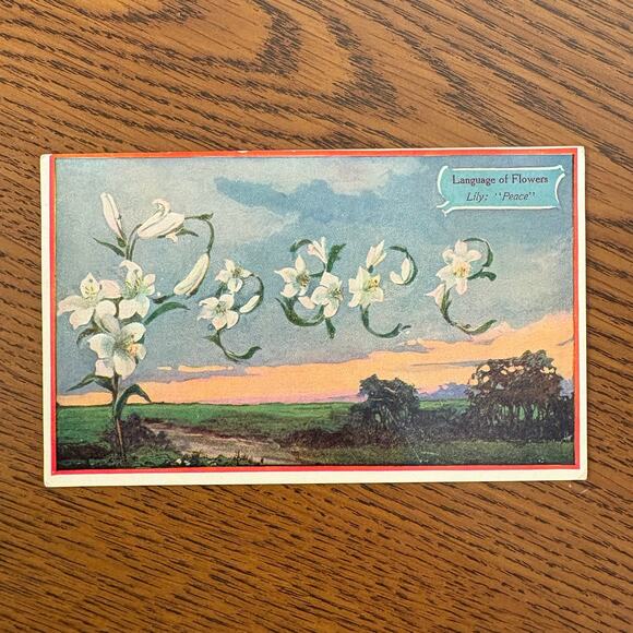 Antique Postcards Flowers Floral Lot of 4 Early 1900s Gilt Embossed Rose - Picture 5 of 16